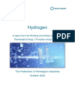 Hydrogen Report From the Norwegian Industry