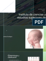 Urgencias Pediatria