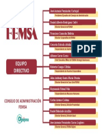 Organigrama de FEMSA Direccion General Plantilla