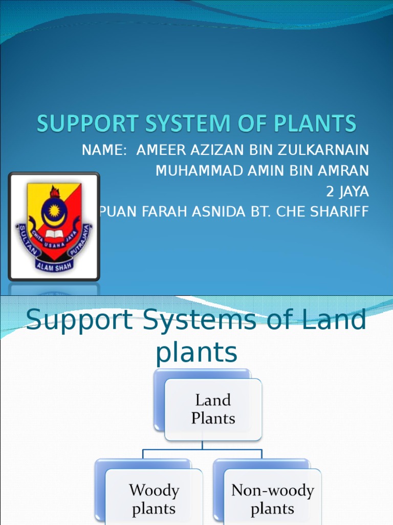 Support Systems in Plants Explained | PDF | Home & Garden