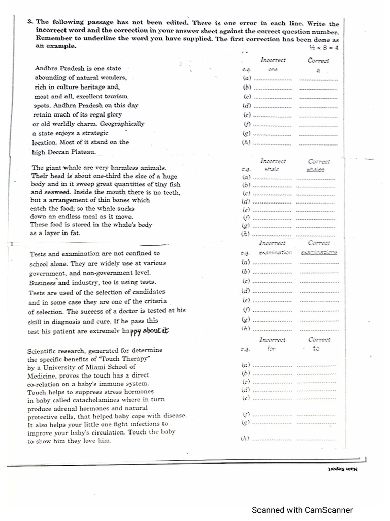 Grammar Worksheet Edition Exercises Pdf