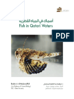 Qatar Fish