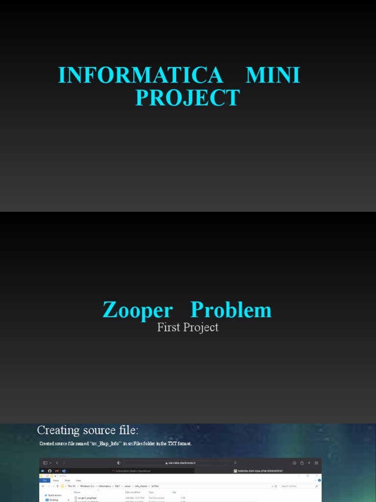 Informatica Mini Project Overview | PDF | Information Science | Data