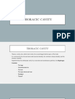 Thoracic Cavity