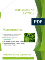 Morphology of Bacteria 