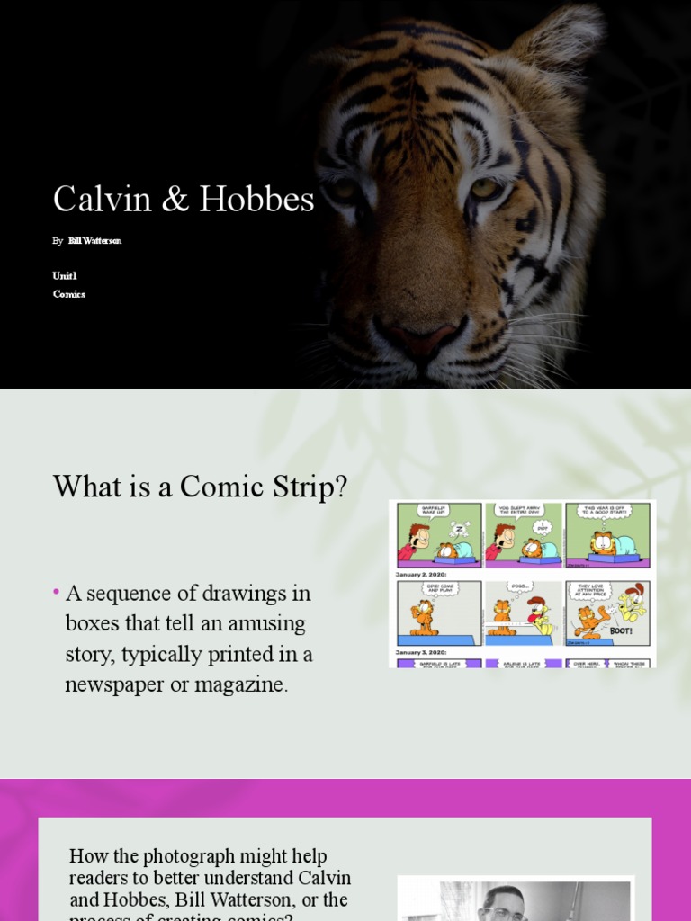 Understanding Calvin & Hobbes Comics | PDF | Human Communication ...