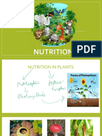 Nutrition in Plants Ppt's