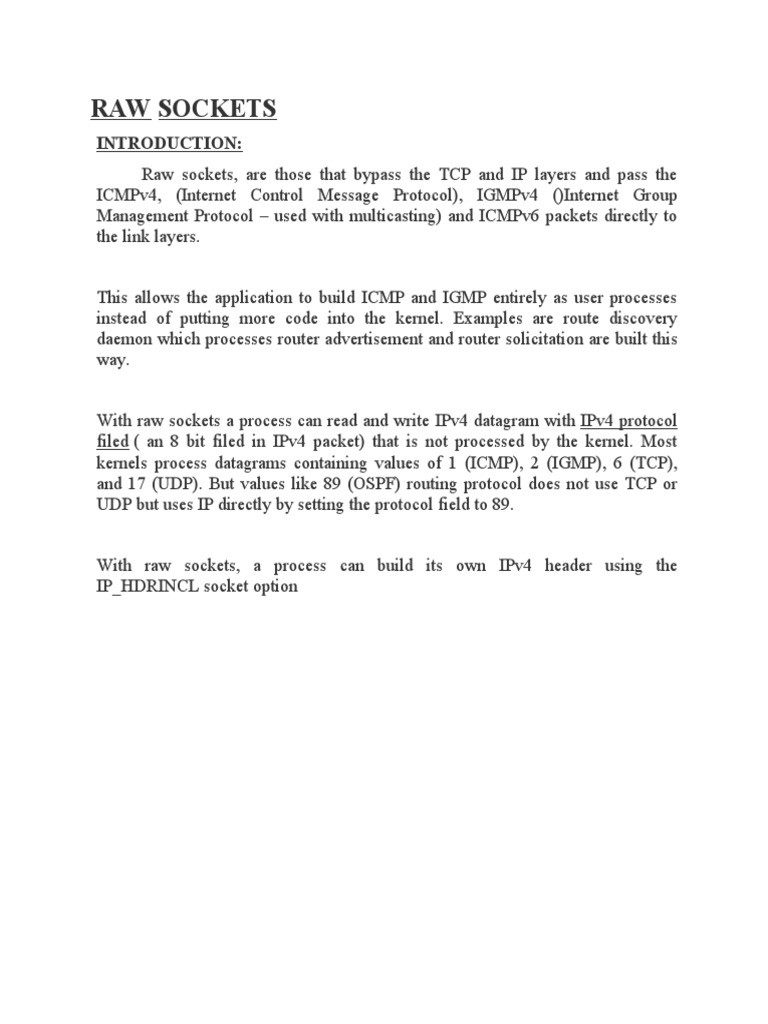 Raw Sockets | PDF | Internet Protocols | Network Socket
