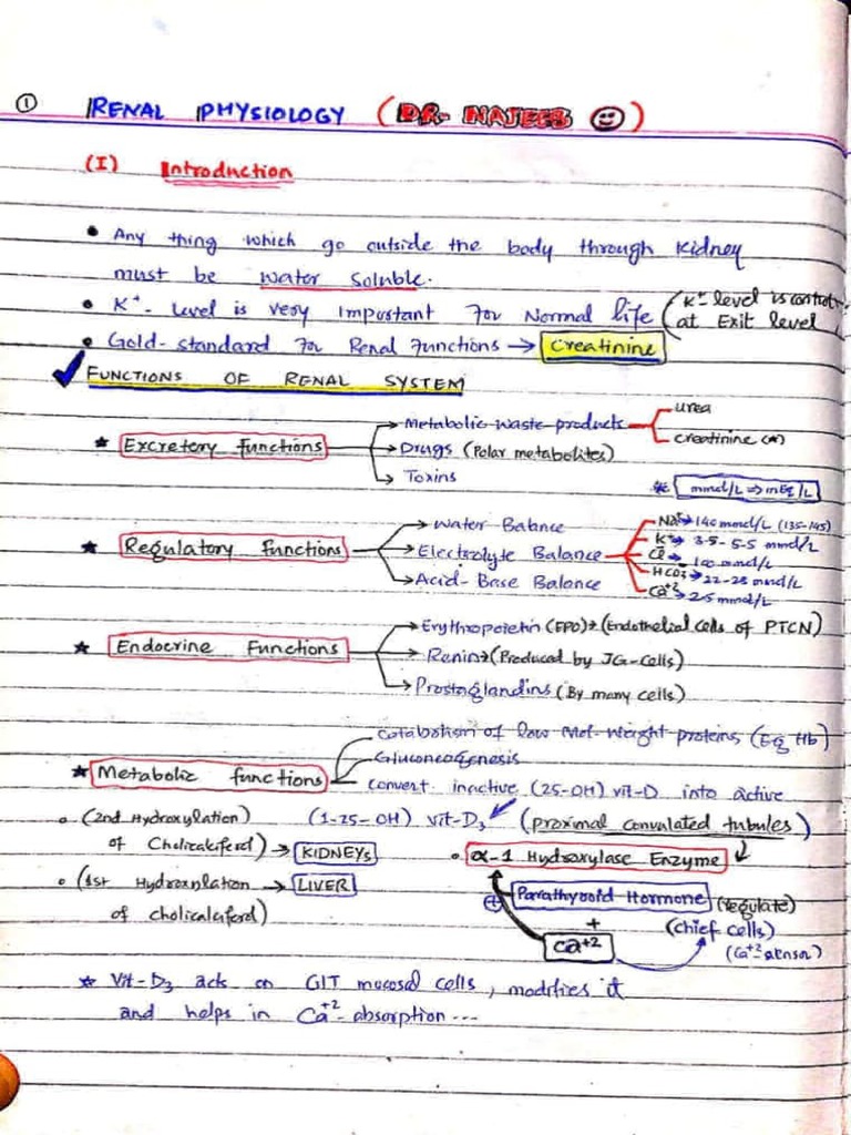 Renal Notes Dr Najeeb Notea Pdf