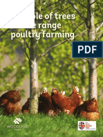Role of Trees in Poultry Farming