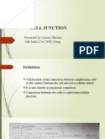 Cell Junctions