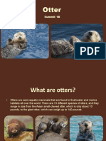 Otters