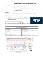 Electron Transport Chain