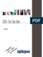 4 DGS Basics