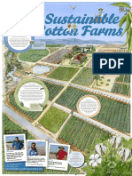Sustainable Cotton Farm A1 Poster Primary Online