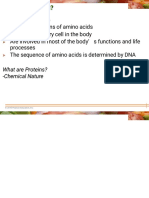 Amino Acids