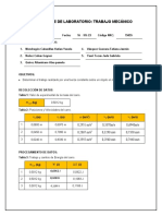 Reporte Lab Fisi1 S09 TM CBT