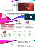 INSEMINACION Artificial 