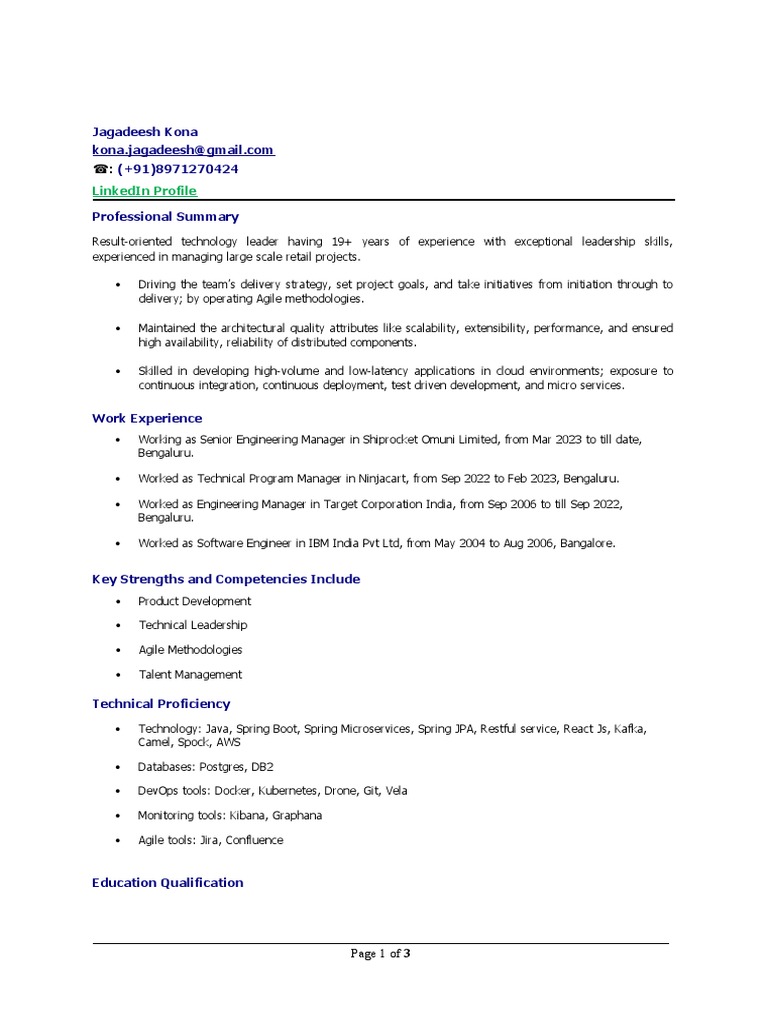 Senior Engineering Manager Profile | PDF | Cloud Computing | Software ...
