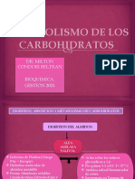 Metabolismo de Los Carbohidratos