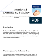 Cerebrospinal Fluid Dynamics and Pathology