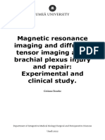 Magnetic Resonance Imaging and Diffusion Tensor Imaging After Brachial Plexus Injury and Repair