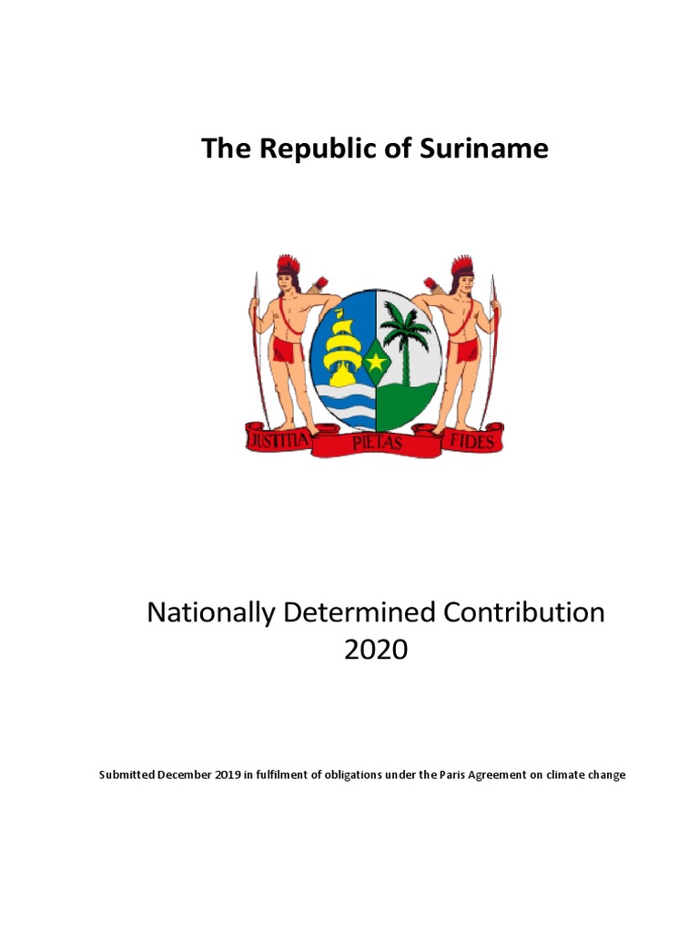 suriname-second-ndc-pdf-reducing-emissions-from-deforestation-and