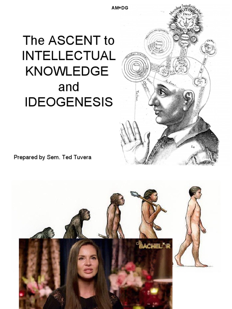 Ascent To The Intellect | PDF | Knowledge | Idea