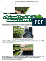 Guía - ¿Qué Es El Forraje Verde Hidropónico - Hydro Environment - Hidroponia en Mexico