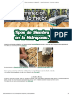 Guía - Tipos de Siembra en La Hidroponía - Hydro Environment - Hidroponia en Mexico