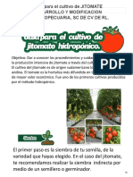 GUIA DE CULTIVO DE JITOMATE Pps