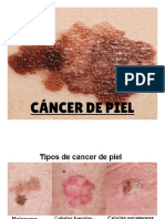 Cancer de Piel - 2022