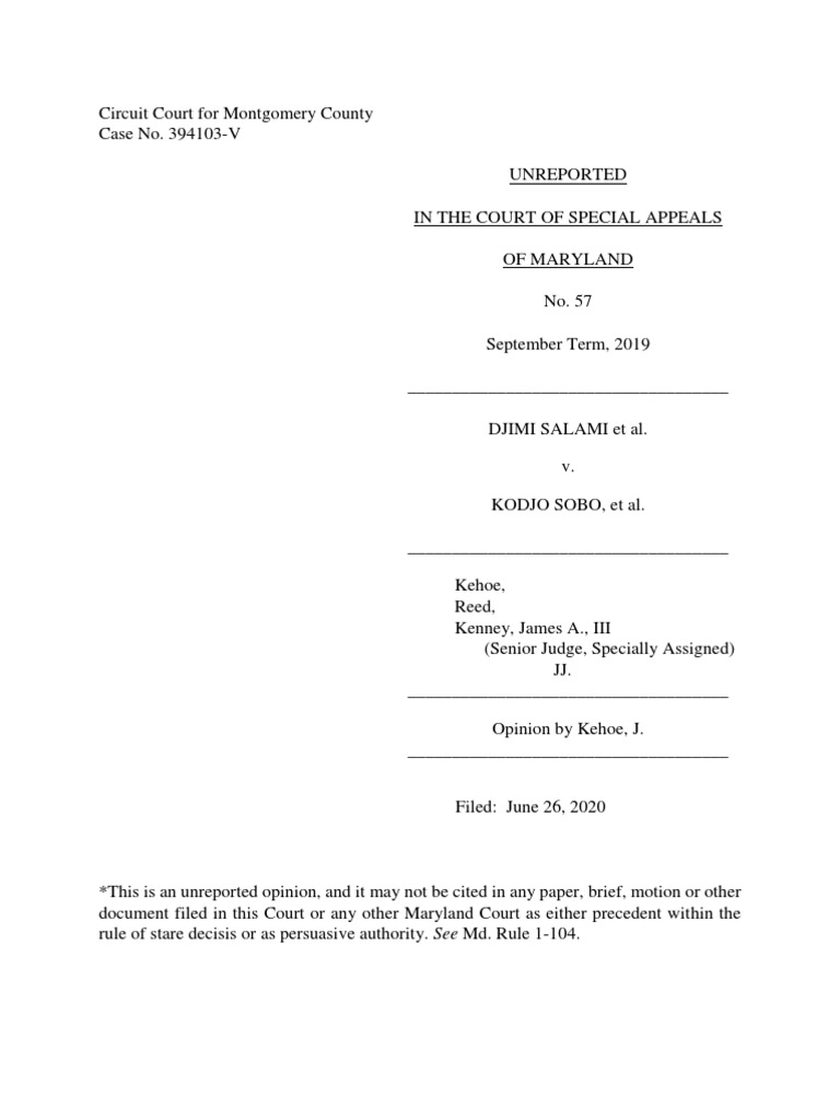 0057 S 19 PDF Lawsuit Standard Of Review