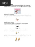 Escala MMT-8: Evaluación Muscular Manual | PDF | Salud y bienestar