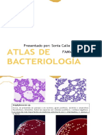 Atlas Bacteriologicoa