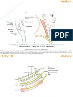 Embryology 