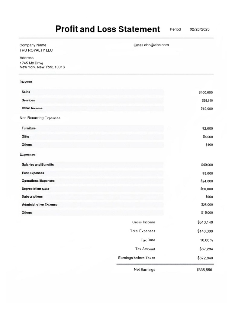 Profit and Loss Statement | PDF