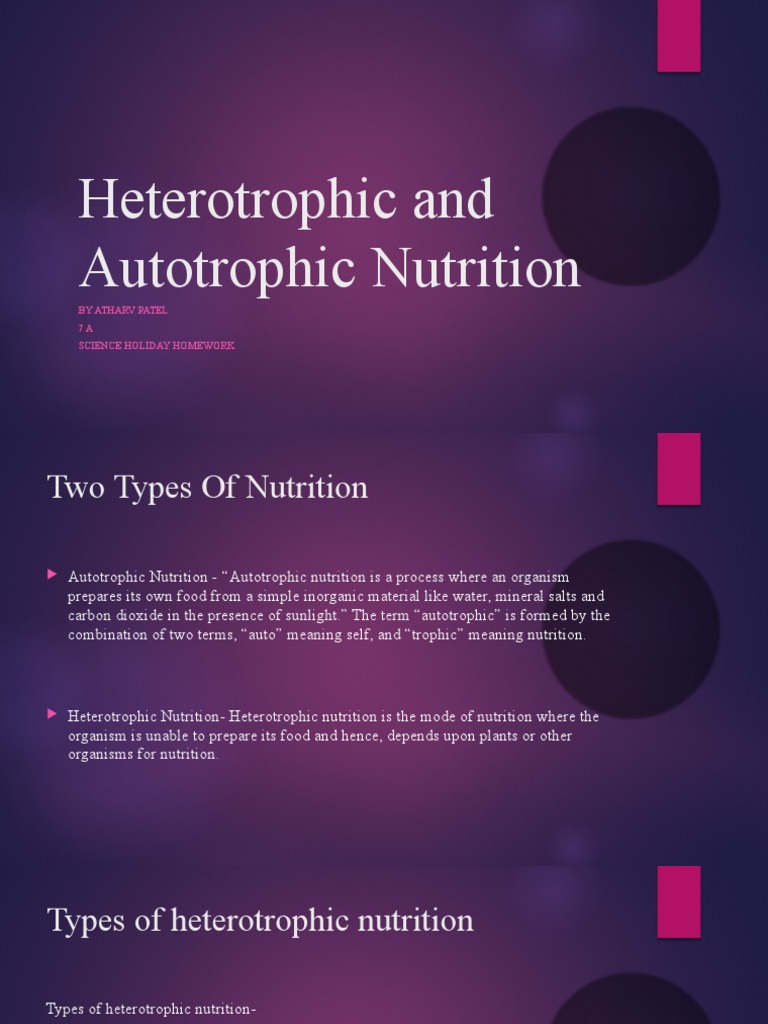 The Ultimate Guide To Eubacteria Nutrition Autotroph Or Heterotroph - wzdd4wt