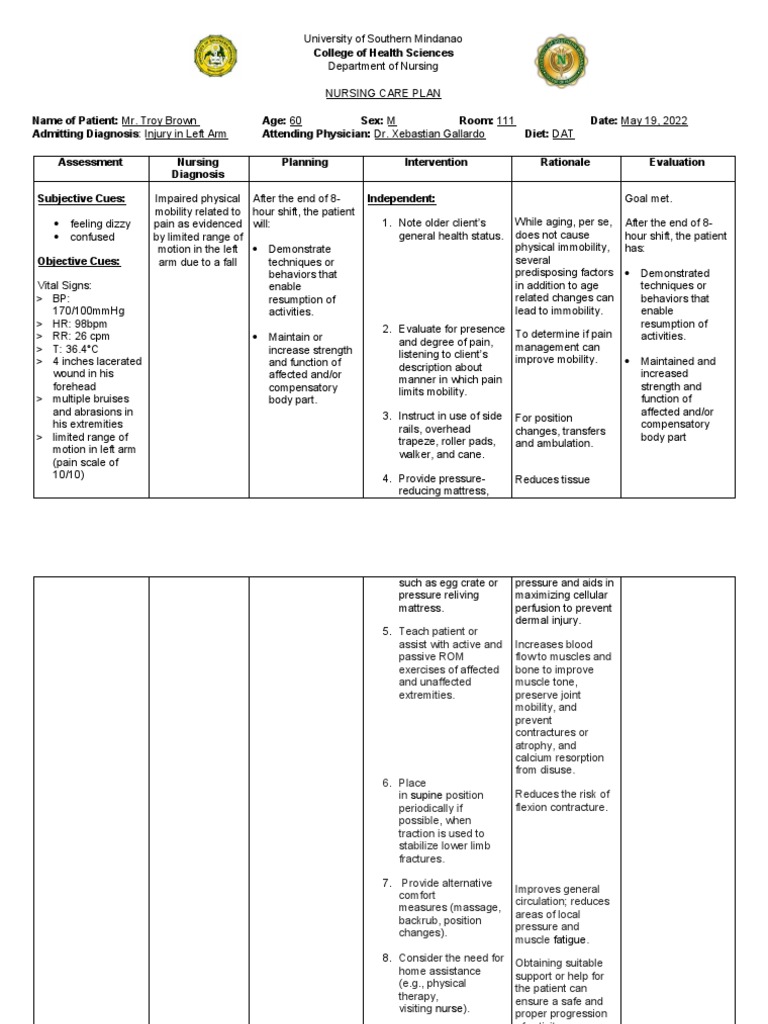 Nursing Care Plan | Descargar gratis PDF | Nursing | Pain