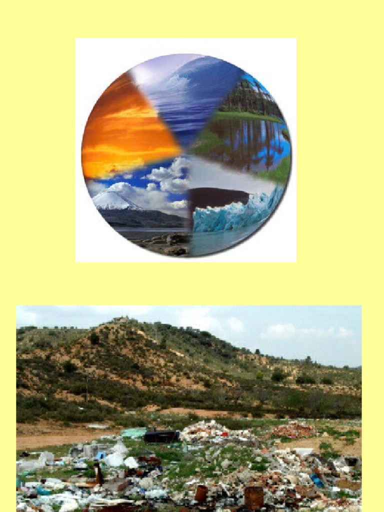 Contaminación Suelo | PDF | Suelo | Deforestación