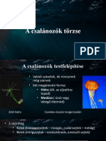 A Csalánozók Törzse