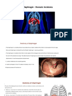 The Diaphragm - Thoracic Incisions