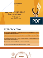 Tema 3. EC1 Fase II Fisiología Del Proceso Maligno