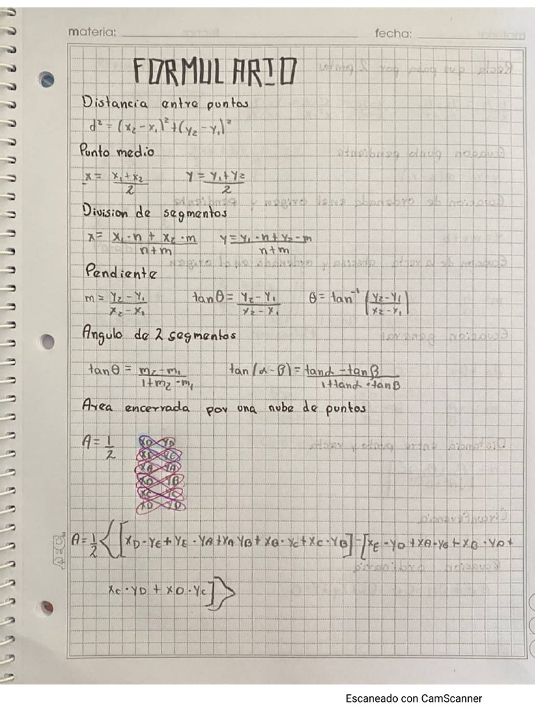 Camila Patiño | PDF