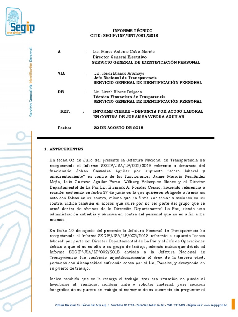 Informe de Denuncia por Acoso Laboral | PDF | Gobierno