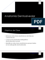 Anatomi769a Dentoalveolar