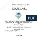 Formato de Proyecto Perfil de Inversión Publica y Desarrollo Local de Una Municipalidad Del Norte Del Peru en El Periodo 2013 - 2022