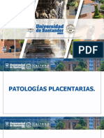 Placenta Patologica