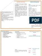 Vsip - Info Triptico Lunahuana PDF Free