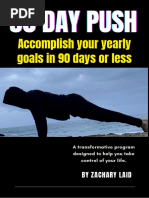 The 90 Day Push Challenge PDF